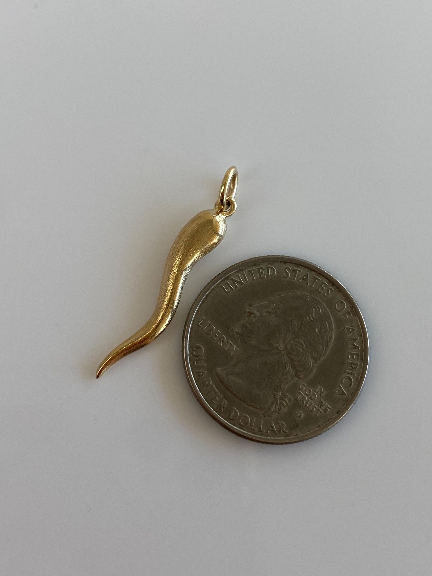 Vintage 14k Yellow Gold Textured Italian Horn Charm
