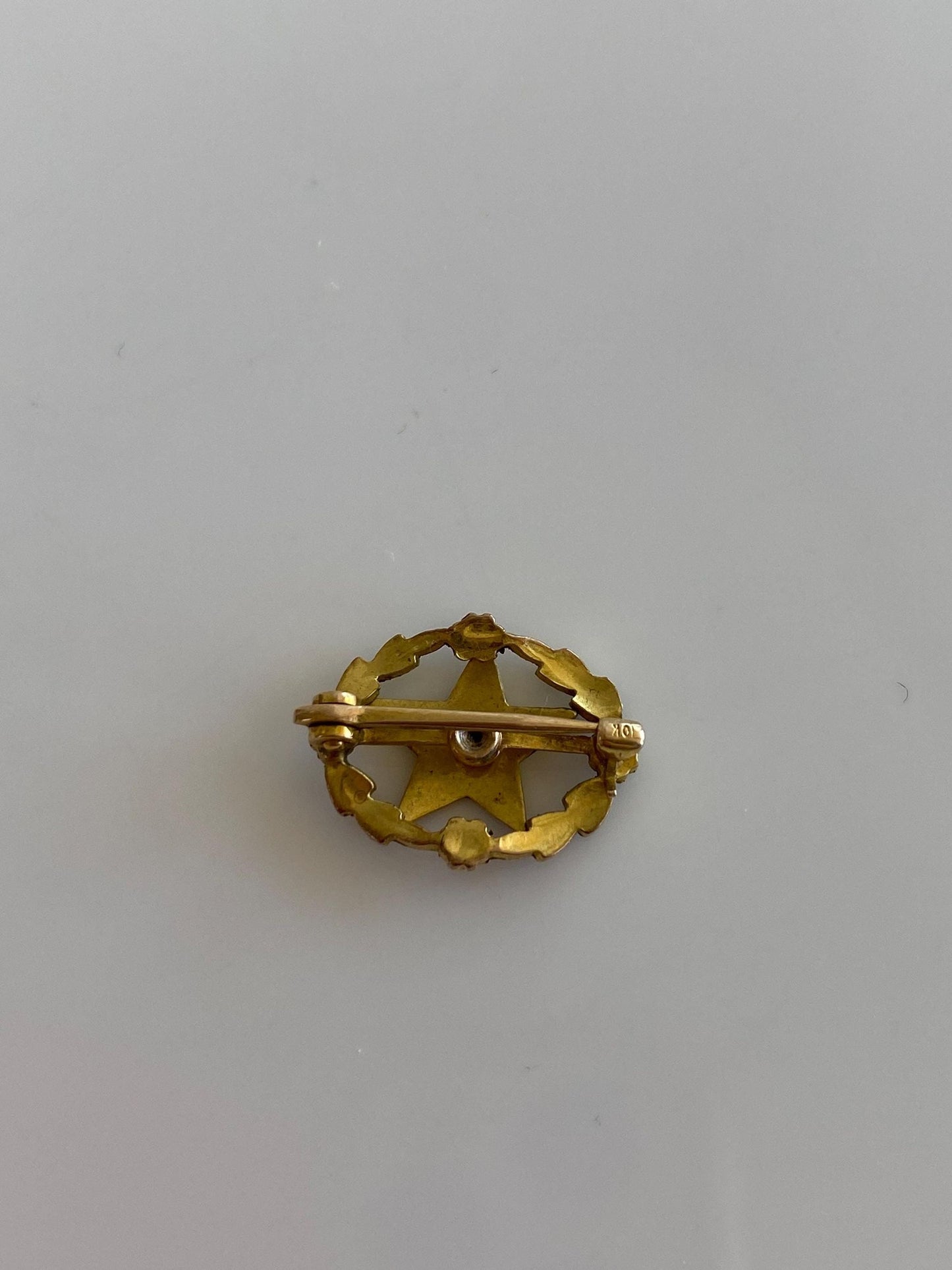 Vintage Solid 10k Yellow Gold Enamel Freemason Order of the Eastern Star Pin