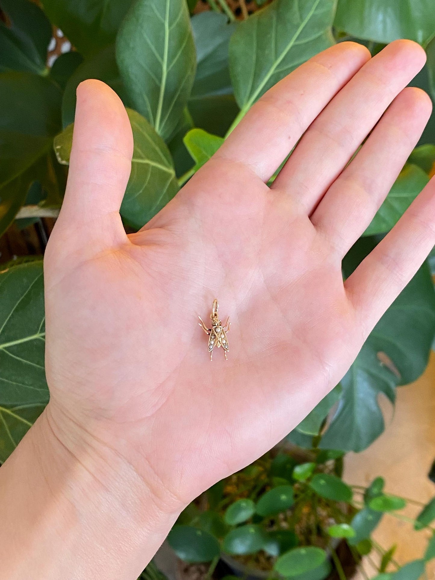 Vintage Solid 14k Yellow Gold Seed Pearl Fly Charm