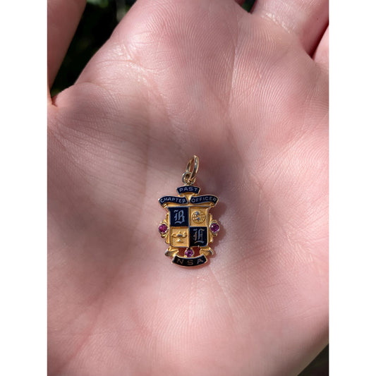 Vintage Solid 10k Yellow Gold Enamel NSA Charm