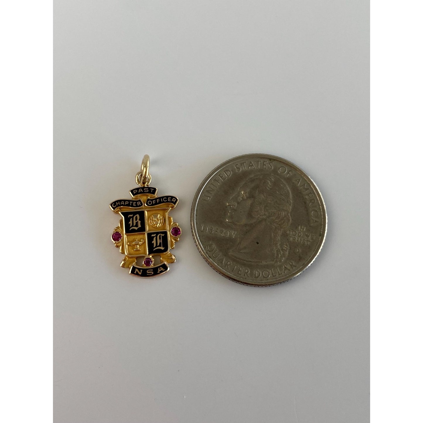 Vintage Solid 10k Yellow Gold Enamel NSA Charm