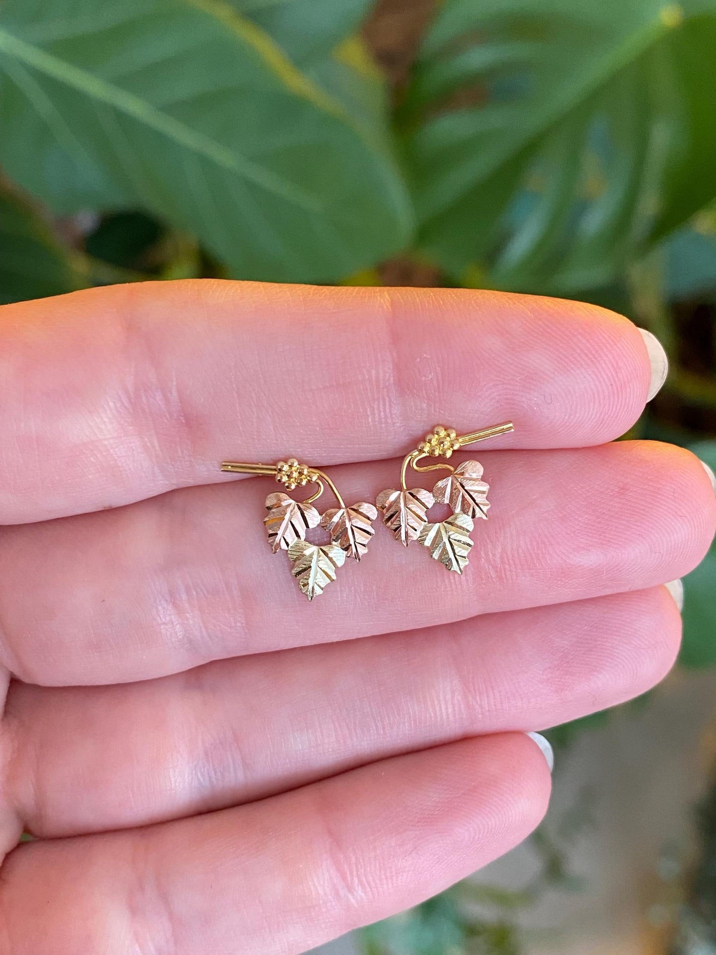 Vintage Solid 10k Black Hills Gold Grapevine Stud Earrings