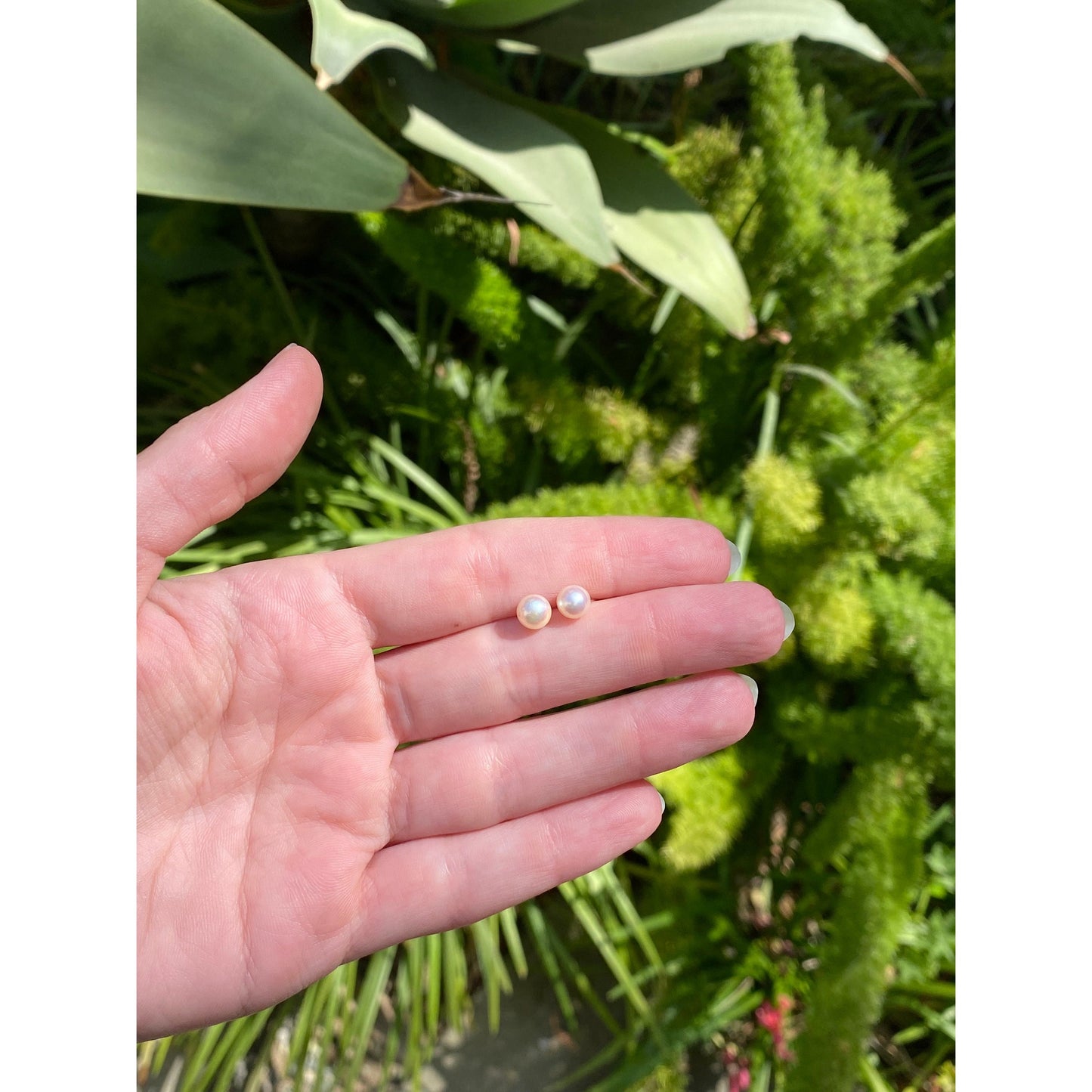 Vintage Solid 14k Yellow Gold Pearl Stud Earrings