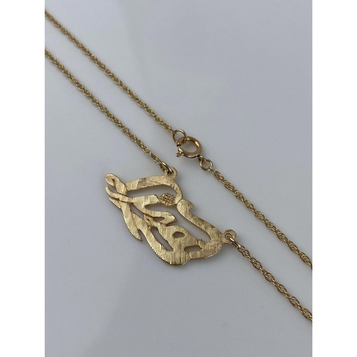 Solid 14k Yellow Gold 'Lisa' Nameplate Chain Necklace - 15 inches