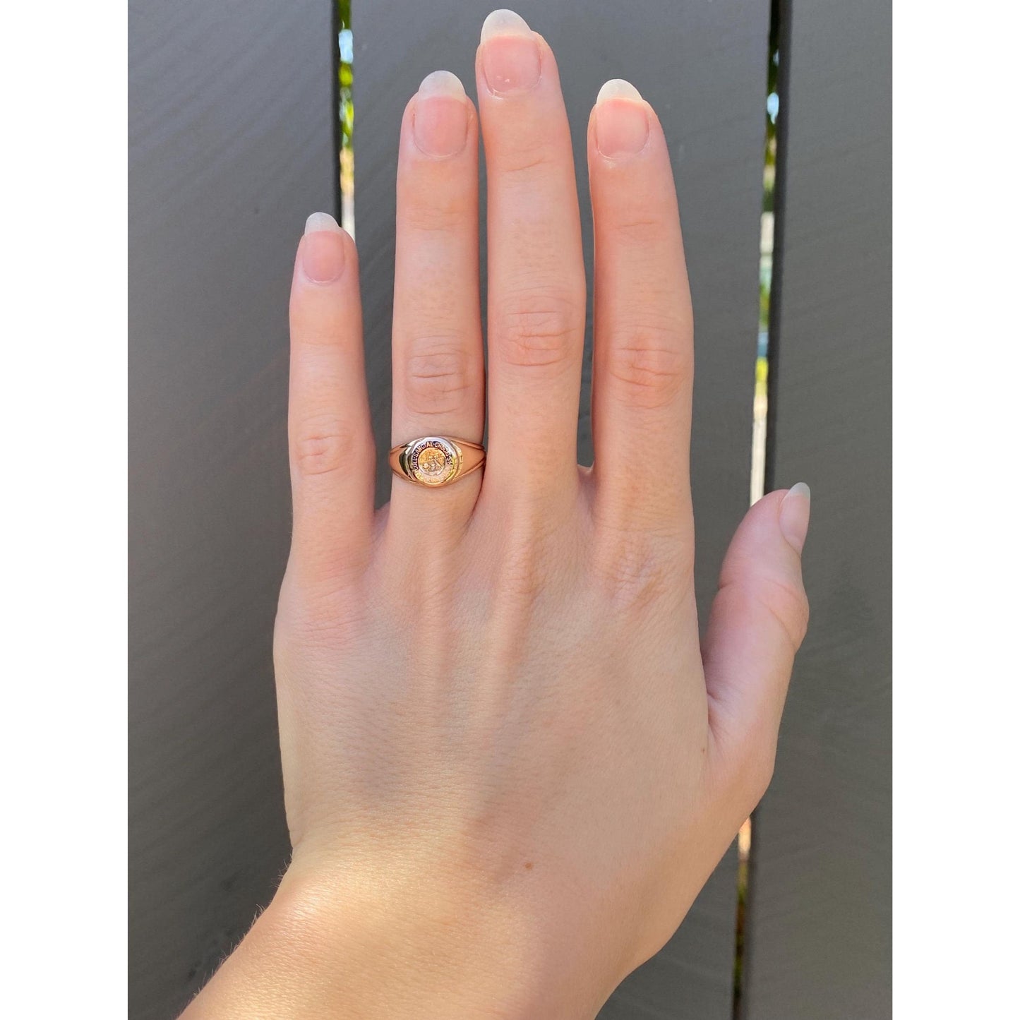 Vintage Solid 14k Yellow Gold Enamel Signet Ring - Size 6