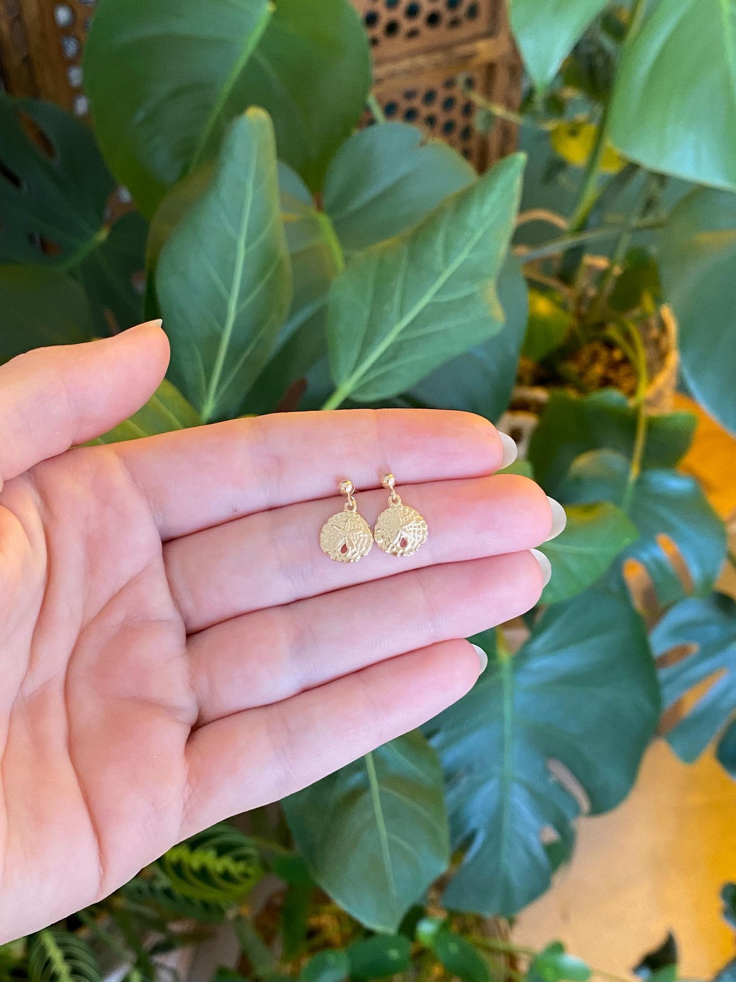 Vintage Solid 14k Yellow Gold Sand Dollar Dangle Stud Earrings