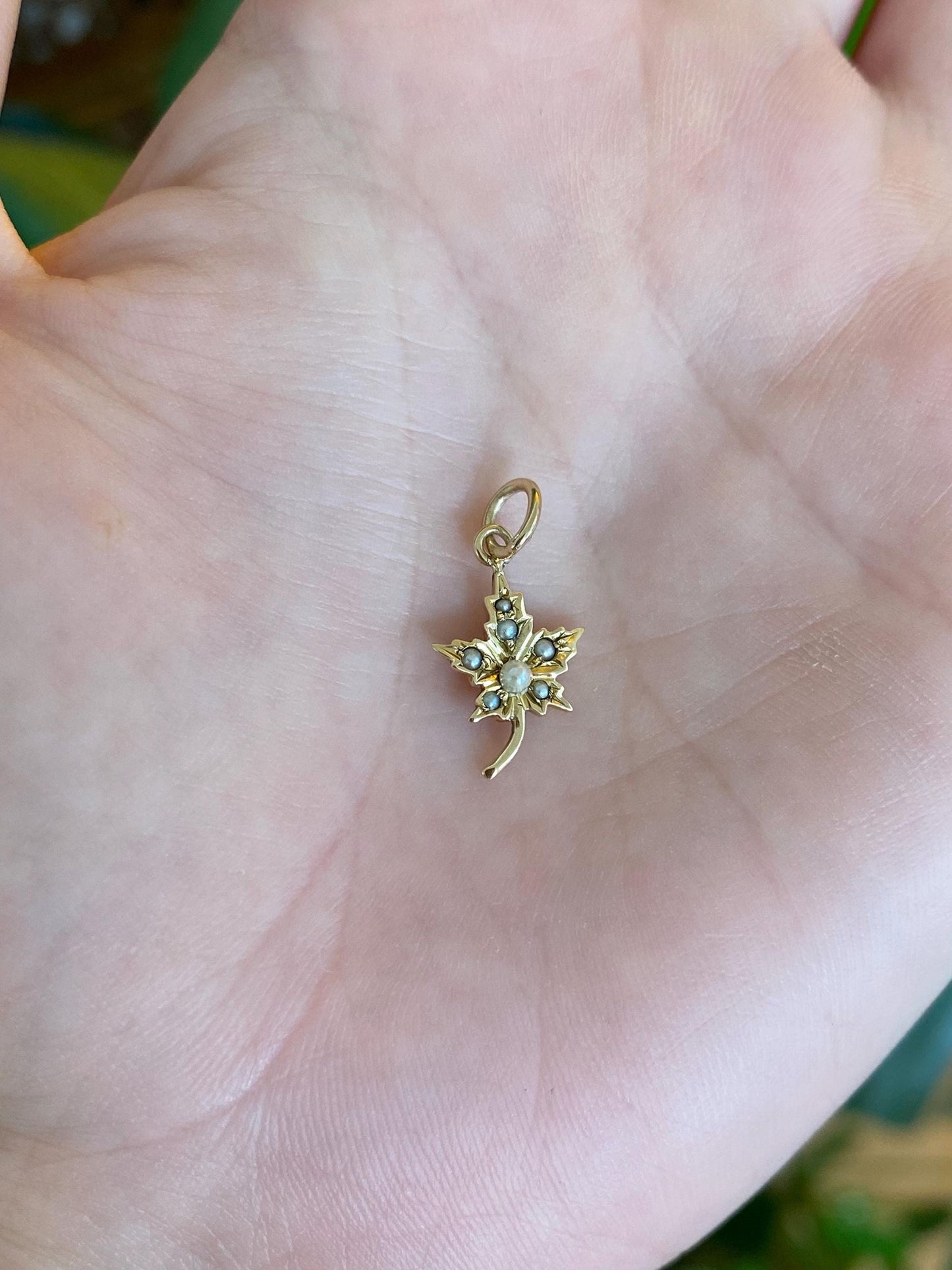 Vintage 12k Yellow Seed Pearls Maple Leaf Stick Pin Charm