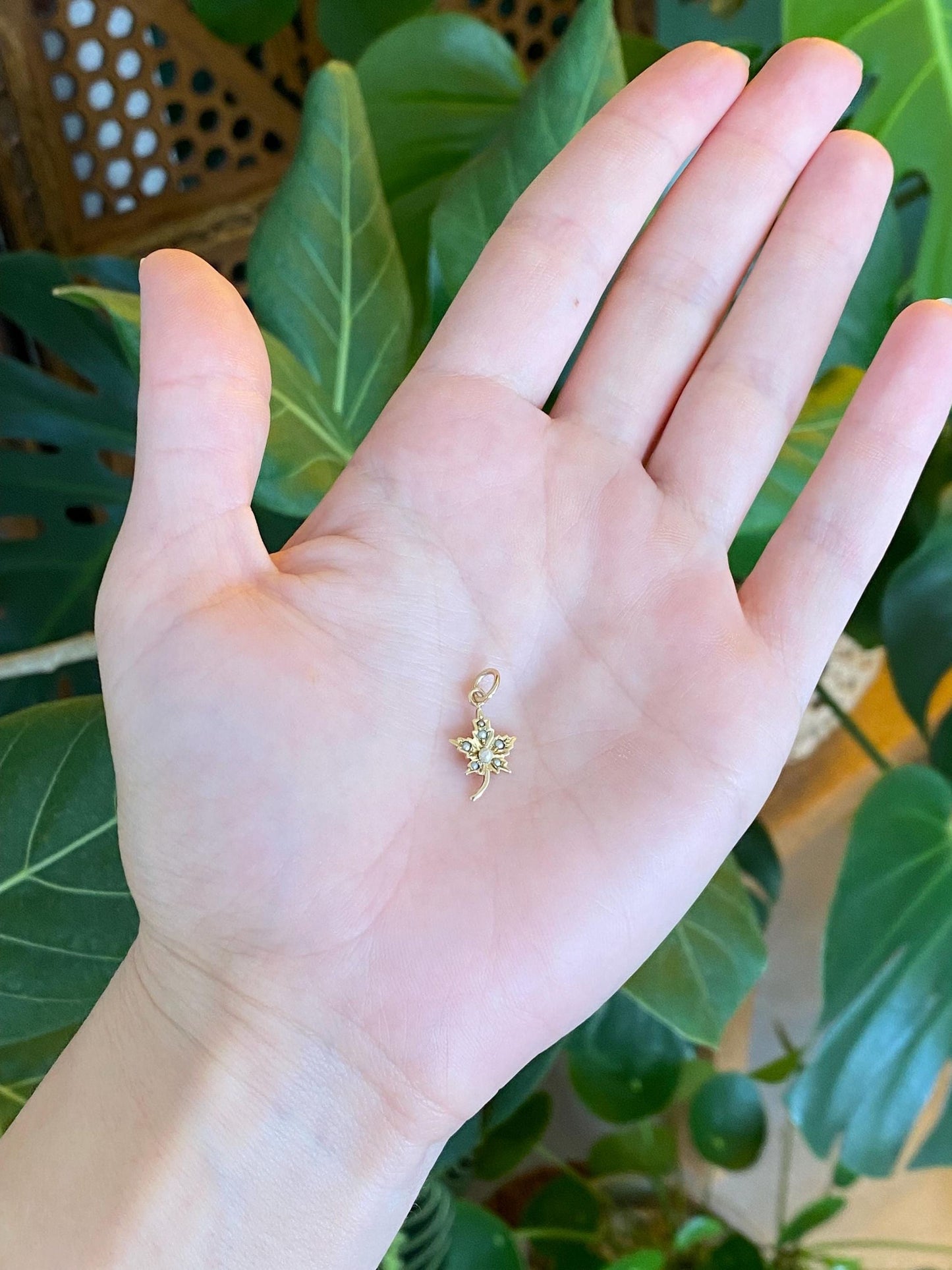 Vintage 12k Yellow Seed Pearls Maple Leaf Stick Pin Charm