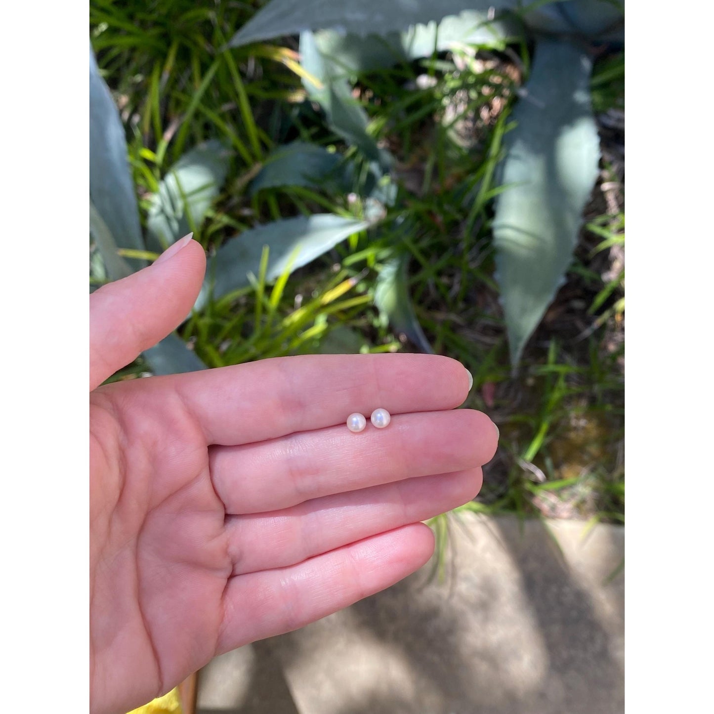 Vintage Solid 14k Yellow Gold Pearl Stud Earrings