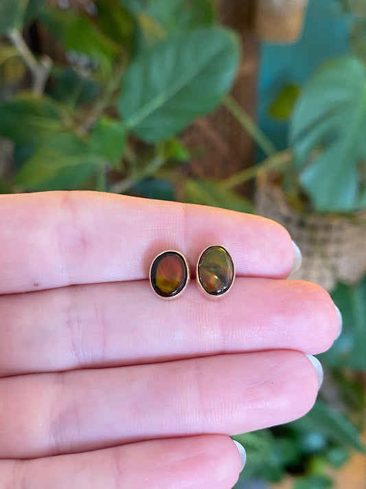 Vintage Solid 14k Yellow Gold Ammonite Stud Earrings
