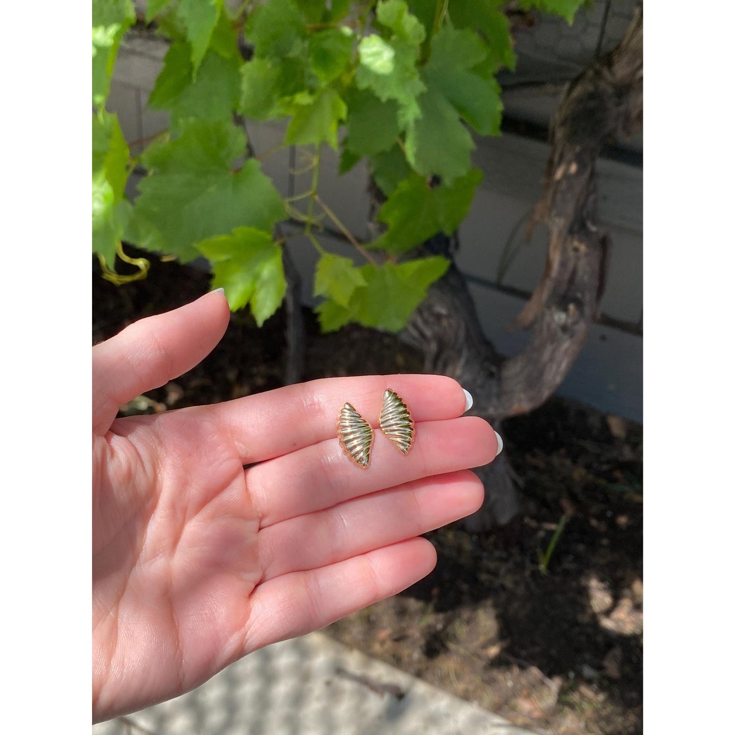 Vintage Solid 14k Yellow Gold Scalloped Fan Stud Earrings