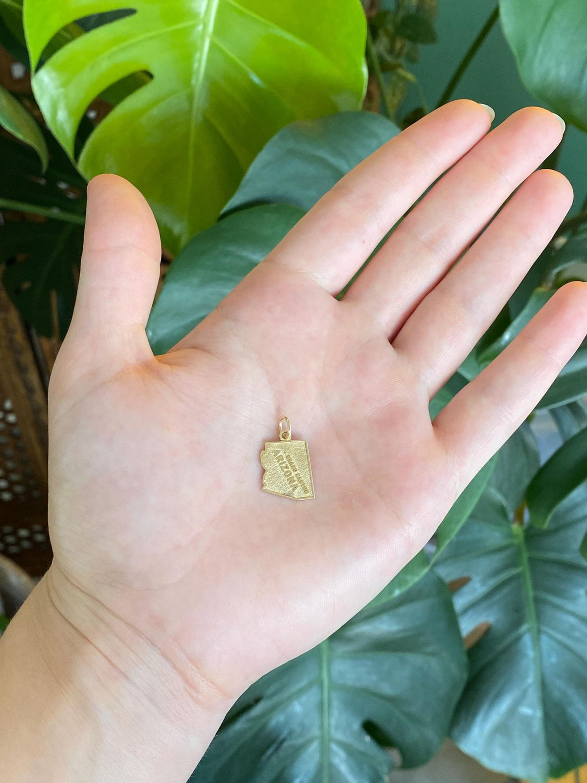 Vintage Solid 10k Yellow Gold Arizona Charm