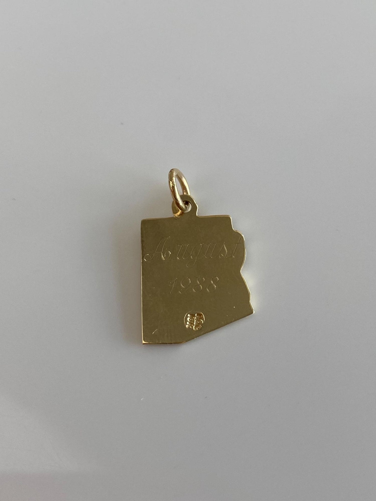 Vintage Solid 10k Yellow Gold Arizona Charm