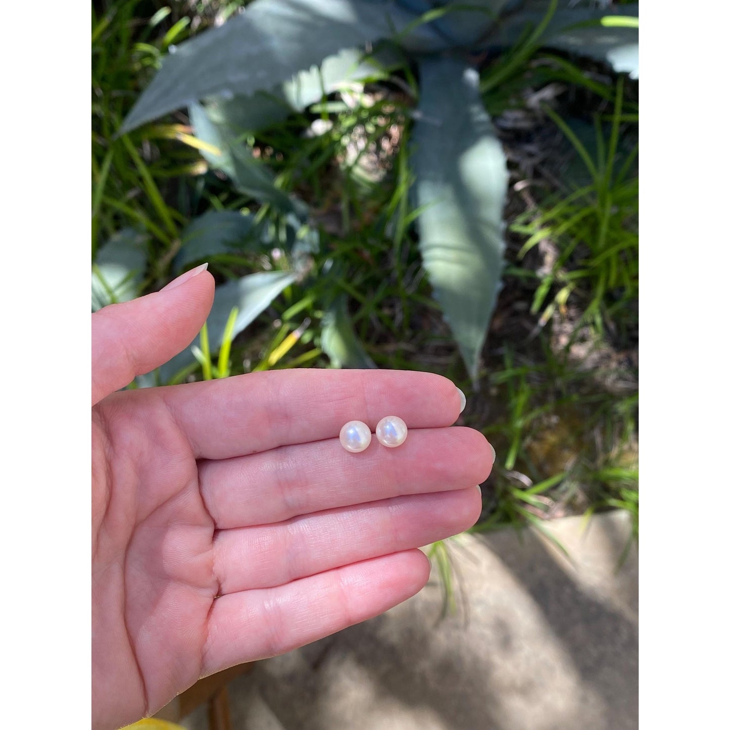 Vintage Solid 14k Yellow Gold Pearl Stud Earrings