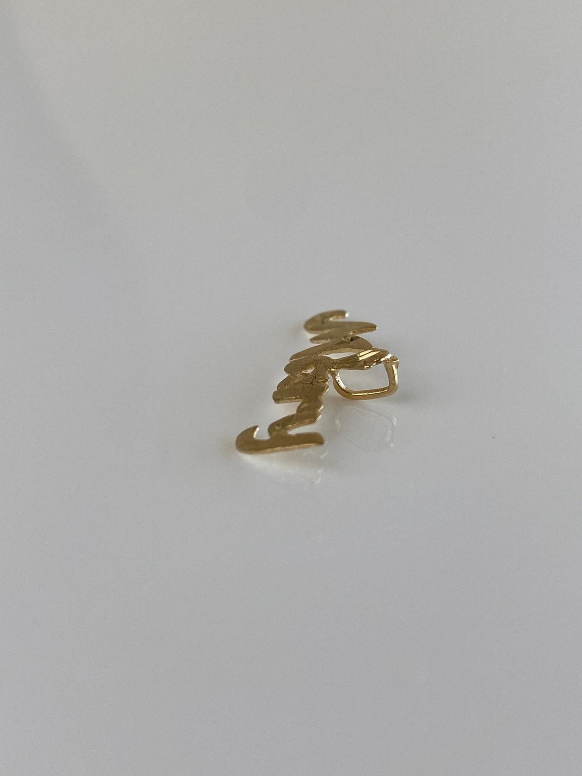Solid 14k Yellow Gold Diamond Cut 'Mary' Name Charm