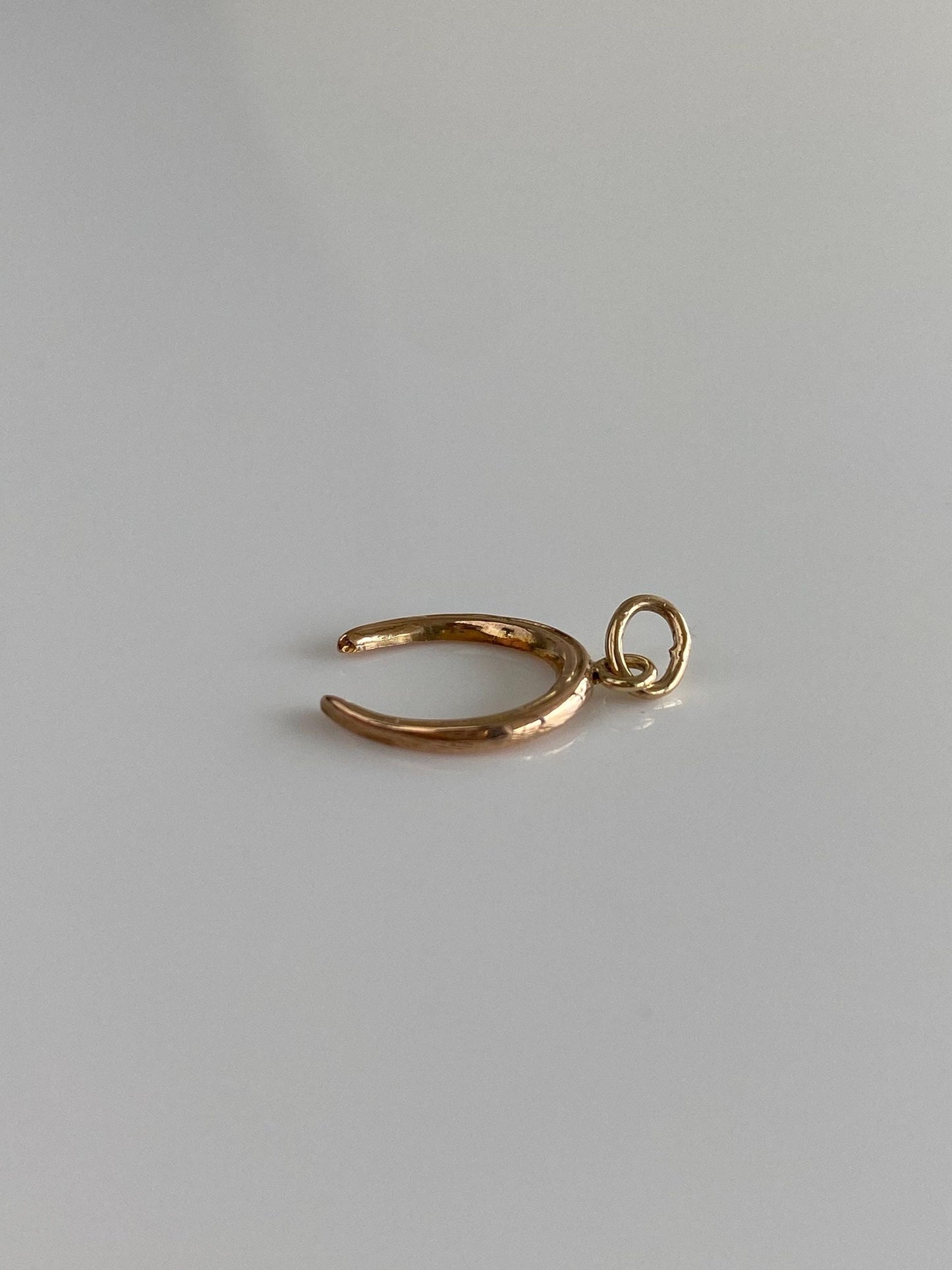 Vintage 10k Yellow Gold Horseshoe Charm