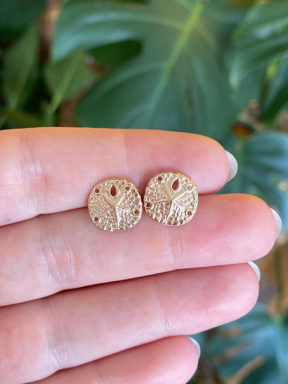 Vintage Solid 14k Yellow Gold Sand Dollar Stud Earrings