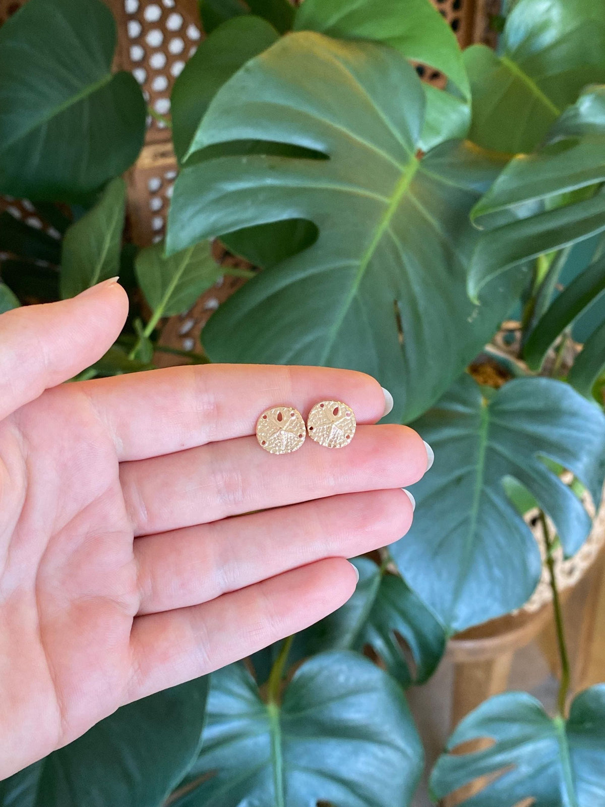 Vintage Solid 14k Yellow Gold Sand Dollar Stud Earrings